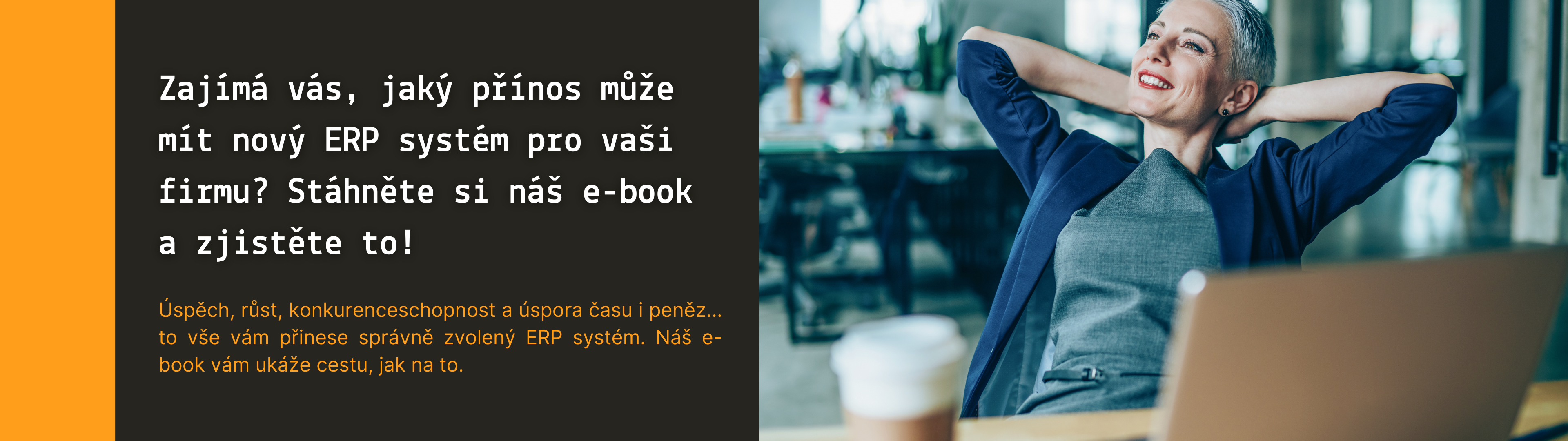 ERP System E-book